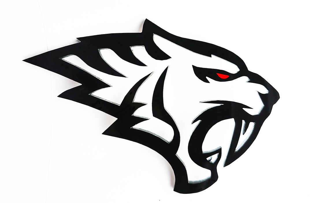Pair Of Angry Red Eye Panda Emblems – Black Fender Badges, Aggressive Style