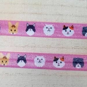 Cat Cochlear Implant/Hearing Aid Headband