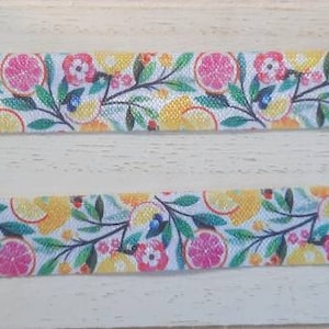 Fruit Cochlear Implant/ Hearing Aid Headband
