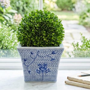 May include: A green, spherical topiary plant in a square, blue and white ceramic planter. The planter features a floral design and sits on a white windowsill. A notebook and pencil are visible to the right, with a blurred outdoor background.