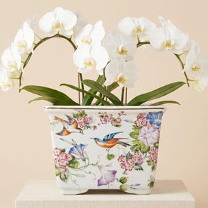 Antique Chinese Planters - Etsy