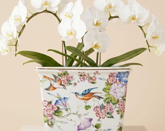 Chinoiserie Porcelain Cachepot Grandmillennial Planter Maximalist Floral Jardiniere Songbird Bluebird Orchid Botanical Pot