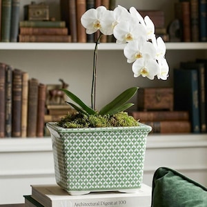 May include: A white orchid plant in a square green and white patterned ceramic planter. The planter sits atop two books, with a bookshelf filled with books in the background. The books are titled "Architectural Digest at 100" and "The Impossible Collection of Jewelry."