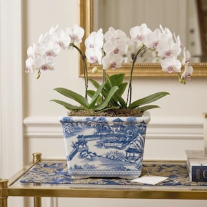 May include: A potted orchid with white and purple-tinged flowers. The plant is in a square, blue and white ceramic planter with a landscape design. The planter sits on a gold-toned metal table with a blue and gold patterned mat.