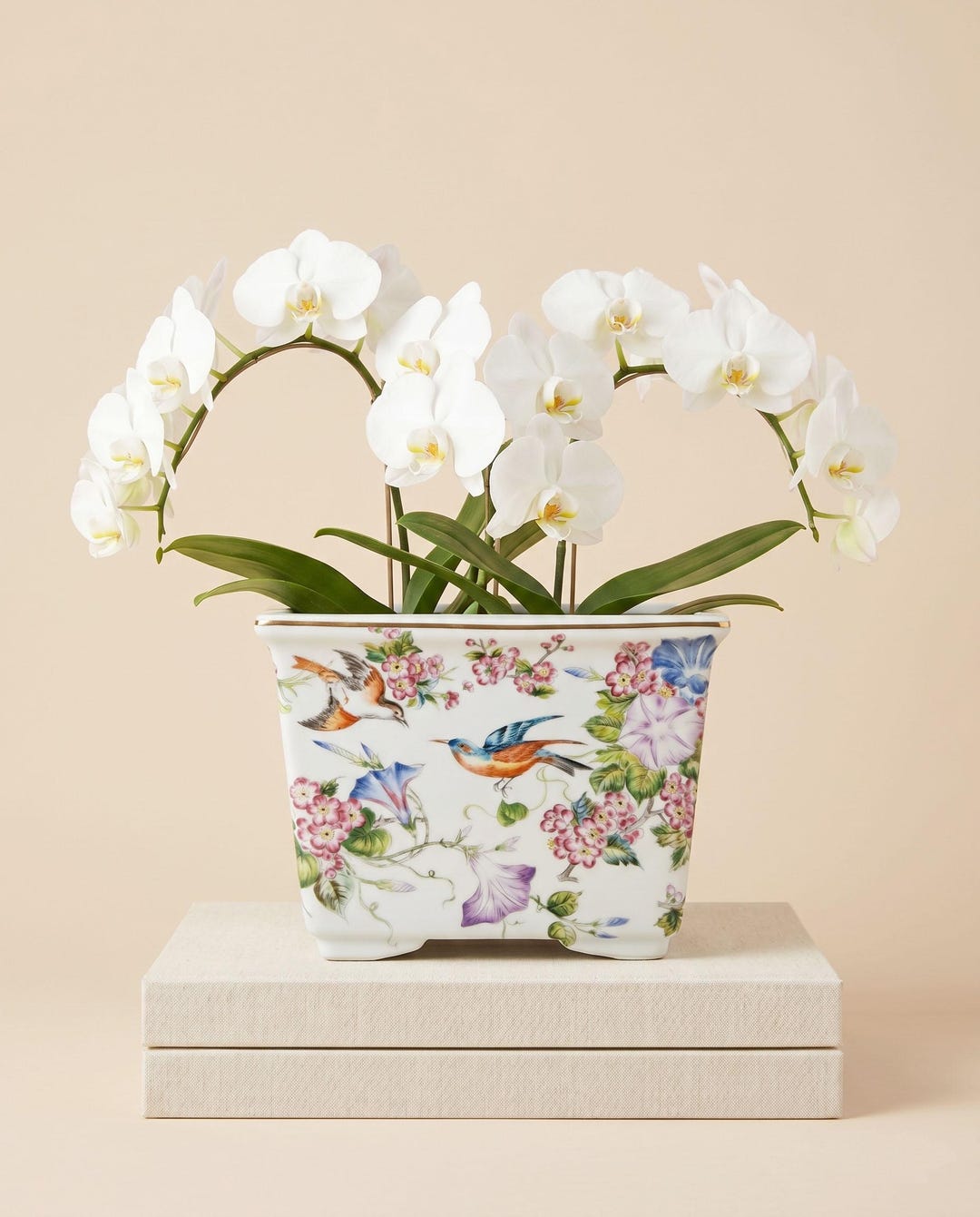Chinoiserie Porcelain Cachepot Grandmillennial Planter Maximalist