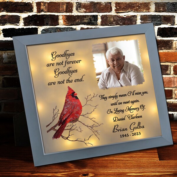 Personalized Memorial Shadow Box, Cardinal Bird Sympathy Gift, Custom Photo