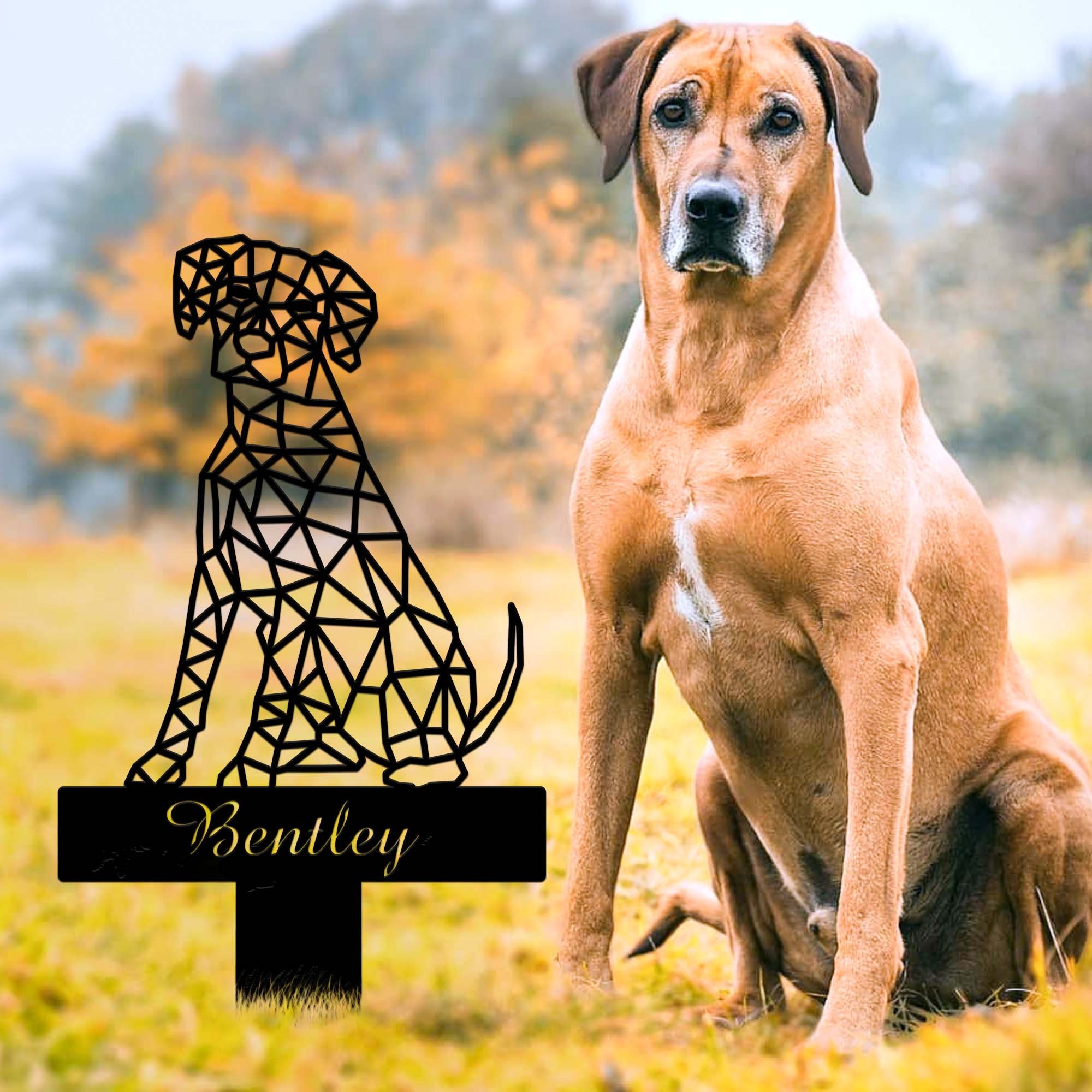 Rhodesian Ridgeback Sign Custom Rhodesian Ridgeback Metal Sign, Geometric Pet Grave Marker - Etsy