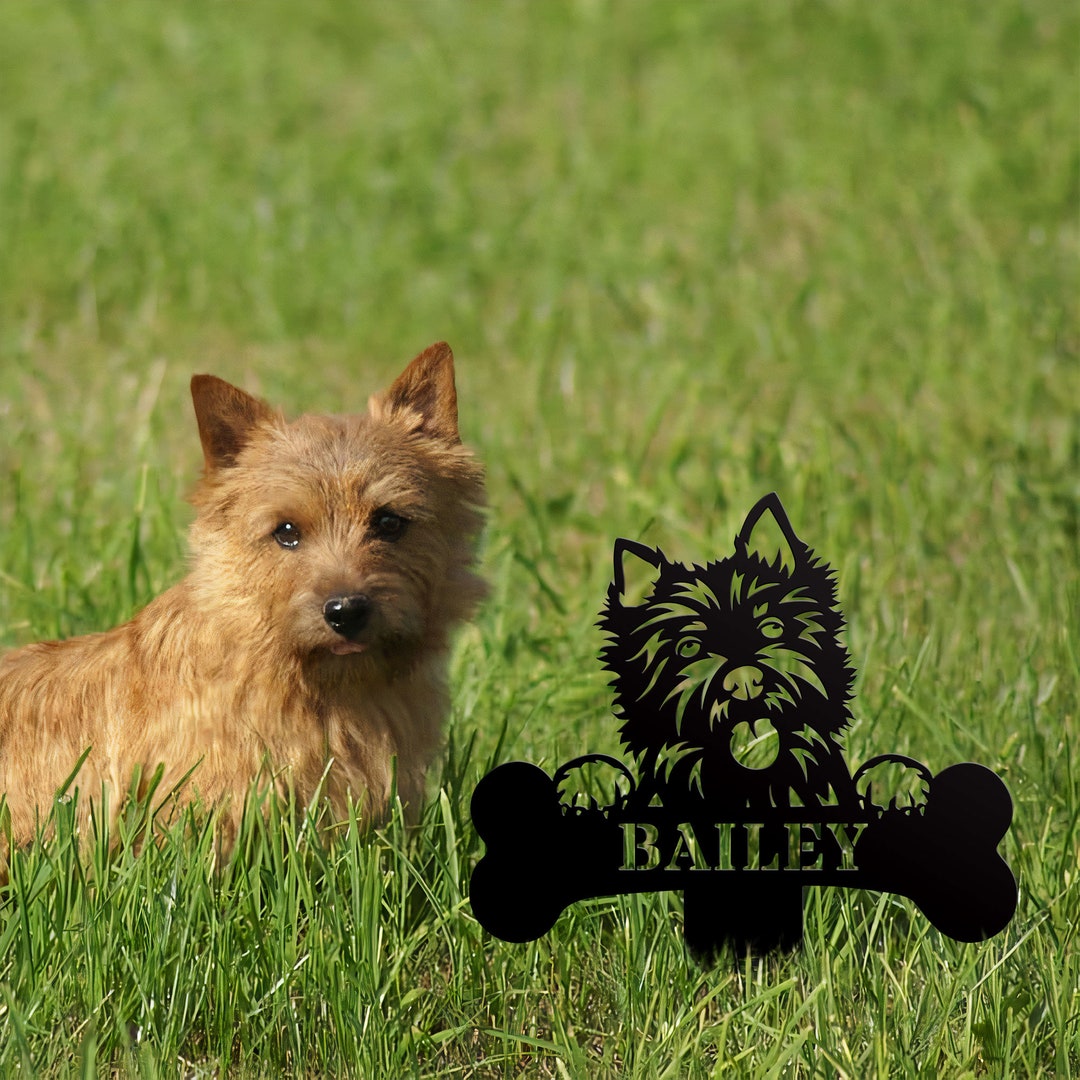 Personalized Dog Metal Sign - Up to 6 Dogs - Gift Idea for Dog Owners - Bar & Grill Hope You Brought Alcohol & Dog Treats main image 1