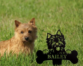 Könnte beinhalten: Schwarze Metallsilhouette eines Hundes mit einem Knochen und dem Namen "BAILEY" darauf. Die Silhouette befindet sich vor einem braunen Hund, der im grünen Gras sitzt.