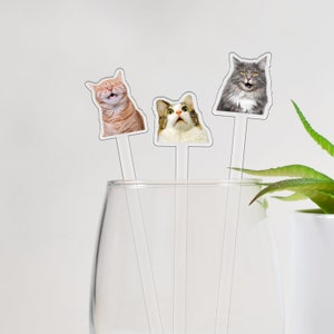 Personalized Stirrers, Pet&#39;s Face Stir Stick, Acrylic Stick, Cocktail Stir Stick, Swizzle Sticks, Bar Accessories, Funny Stirrers