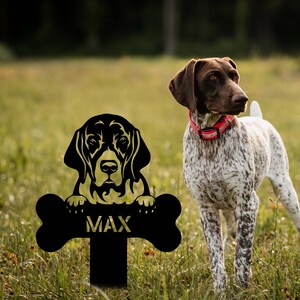 May include: Black metal silhouette of a German Shorthaired Pointer dog holding a bone with the name "MAX" on it. The silhouette is in front of a real German Shorthaired Pointer dog standing in a grassy field.