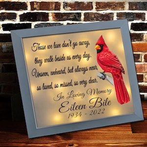 Personalized Shadow Box, Memorial Shadow Box, Cardinal Memorial, Remembrance Keepsake, Bereavement Gift, Those We Love Don’t Go Away