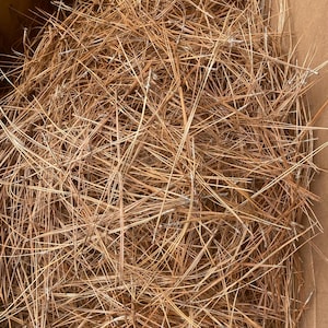 May include: A close-up shot of a pile of dried pine needles, filling the frame. The needles are a warm, earthy brown color, with a slightly textured appearance. The needles are densely packed together, creating a natural, organic texture.