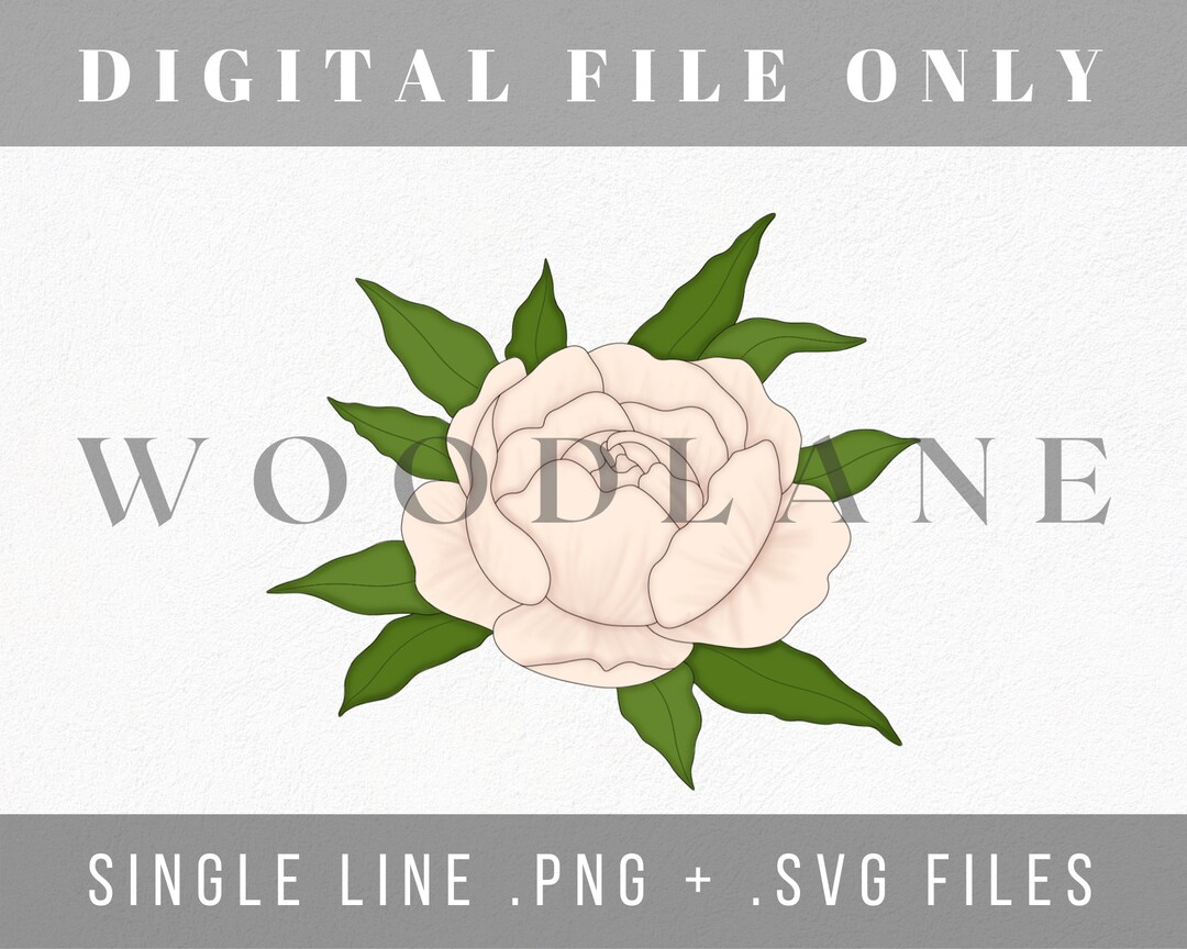 Single Peony Single Line Floral Peony Template SVG PNG Laser Cut File ...