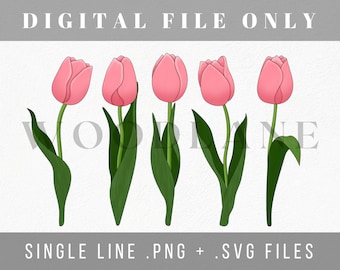 Tulips - Single Line Floral - SVG - PNG - Scroll Saw Template - Laser Cut File