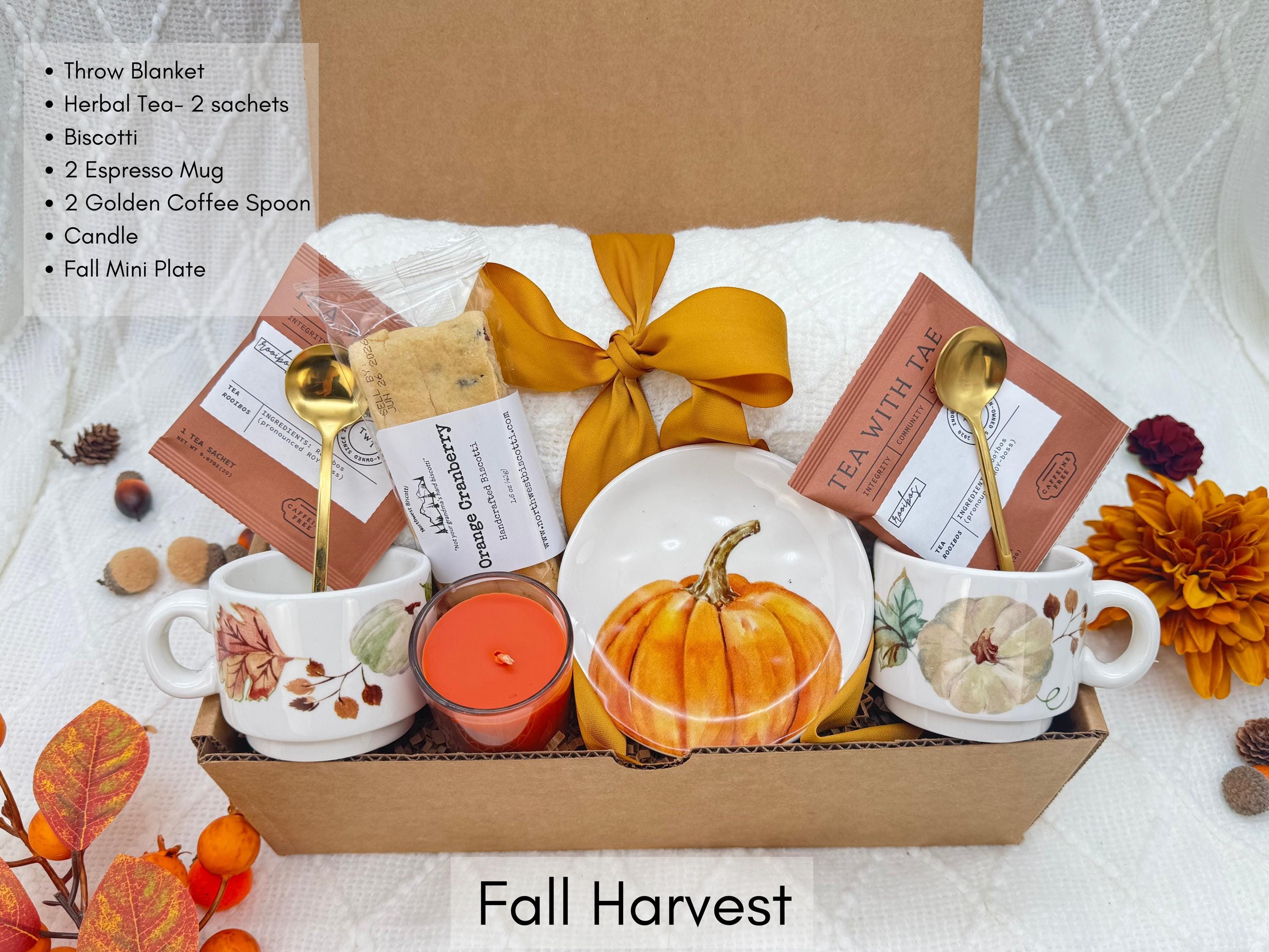 Hug in a Box, Cozy Fall Selfcare Gift With Blanket, You Got This Gift ...