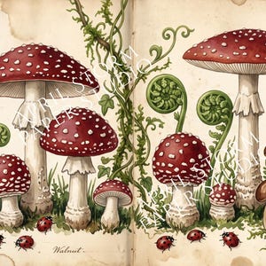 May include: A botanical illustration on aged paper featuring red and white Amanita mushrooms, brown mushrooms, green fern fiddleheads, and red ladybugs. The text APRIL STORM PAPER STUDIO is overlaid across the image, with the word Walnut visible.