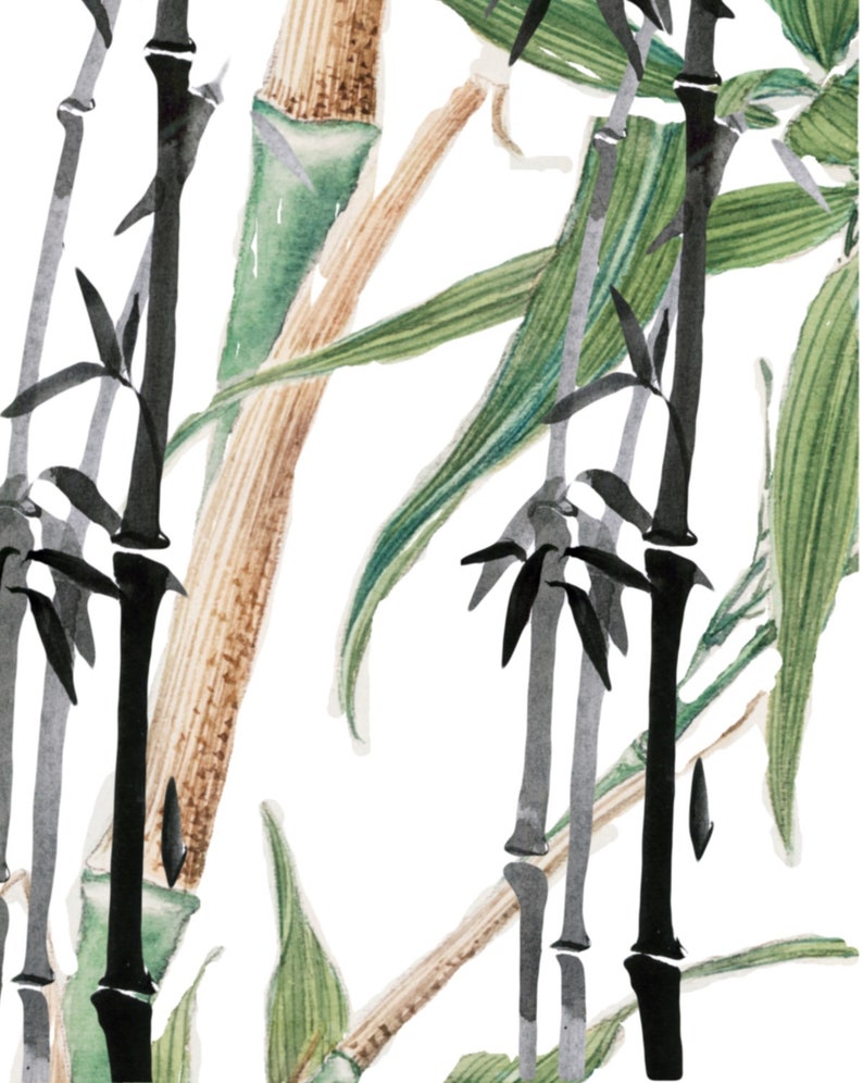 Watercolor Bamboo Wall Art, Asian Art Painting, Bamboo Plant, Bamboo