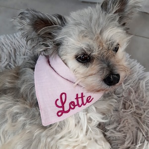 Muslin dog scarf with collar embroidered personalized scarf cloth dog gift cotton dog bandana