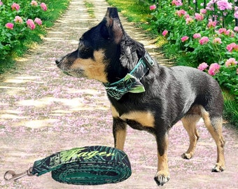 Dog collar with leash Set of embroidered leaves fabric green with moving bow tie Collar dog leash