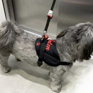 Dog harness personalized S M L XL XXL with desired name embroidered Black harness dog harness