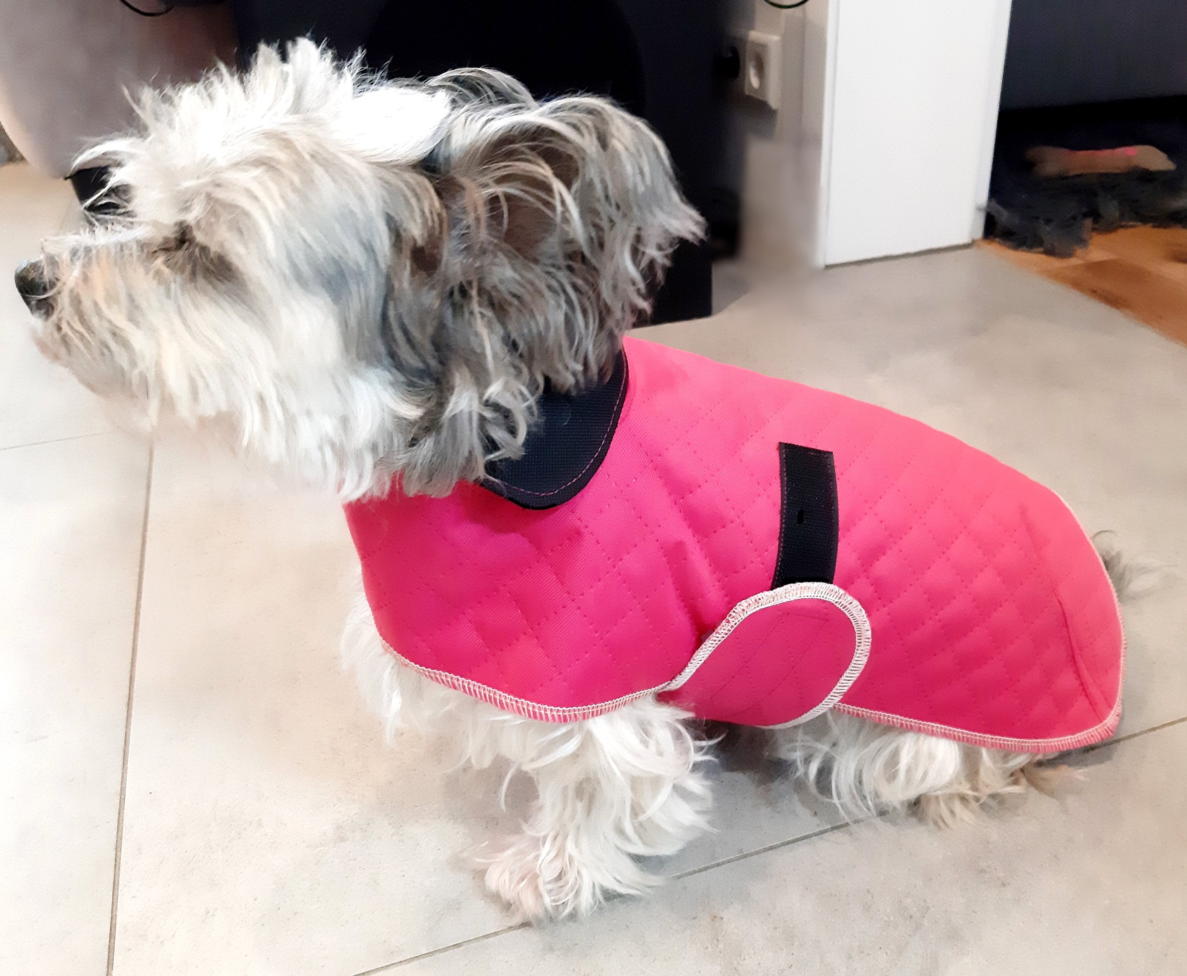 Handfly Small Dog Raincoat Waterproof with Hood,Puppy Rain Jacket