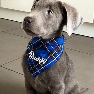 Dog bandana with collar personalized adjustable tartan check blue optionally with name embroidered dog bandana