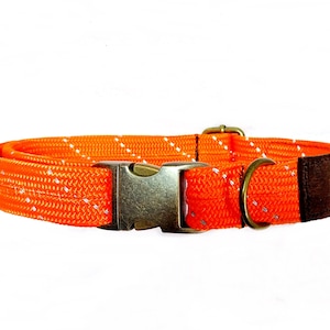 Personalisiertes Halsband Tauhalsband flach bestickt Verstellbar Individuell Altmessing Echtleder dog collar 7 Farben Orange reflektier.