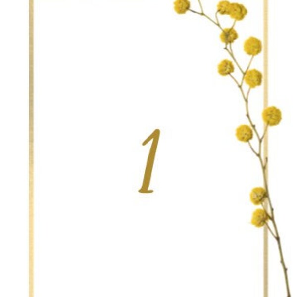 Golden Wattle Printable Table Numbers