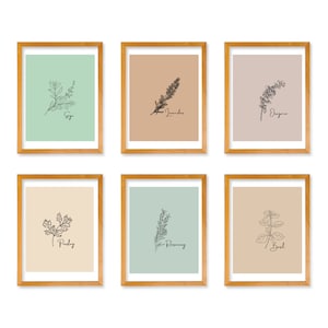 May include: Six framed prints of different herbs, each with a line drawing of the herb and its name. The herbs are Sage, Lavender, Oregano, Parsley, Rosemary, and Basil. The frames are light wood.