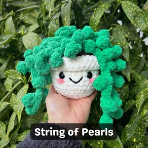 May include: A crocheted string of pearls plant with a cute face. The plant is green and white and is held in a hand.
