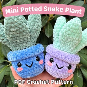 Può includere: Due piante serpente all'uncinetto in vasi. La pianta a sinistra è verde e in un vaso blu con un viso sorridente. La pianta a destra è verde chiaro e in un vaso viola con un viso sorridente. Il testo "Mini Potted Snake Plant" è in alto nell'immagine e "PDF Crochet Pattern" è in basso.