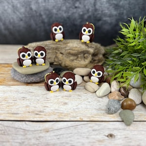 Può includere: Un set di otto statuine di gufo marroni con occhi gialli e dettagli bianchi. I gufi sono disposti su una superficie di legno con pietre e una piccola pianta verde.