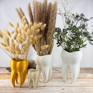 Può includere: Una collezione di vasi a forma di dente in varie dimensioni e colori, contenenti fiori ed erbe secche. I vasi sono bianchi e dorati, con un piccolo vaso beige davanti. I fiori sono beige, marroni e viola.