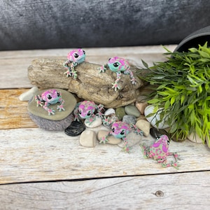 Può includere: Una collezione di sei figurine di rane in miniatura. Ogni rana ha una faccia azzurra, un motivo a pois rosa e verde ed è posizionata su una superficie di legno, pietre e un pezzo di legno. Le rane hanno occhi neri.