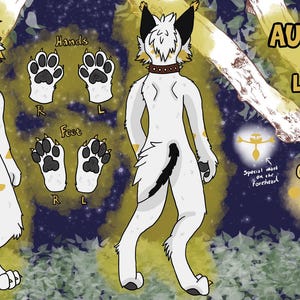 Commissione per la scheda di riferimento furry (10 slot)