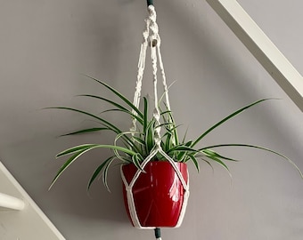 Op de afbeelding: Een rode keramische plantenpot met een graslelie, opgehangen aan een witte macramé plantenhouder. De plantenhouder is bevestigd aan een houten deuvel. De plant heeft lange groen-wit gestreepte bladeren.