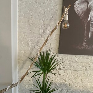Op de afbeelding: Een handgemaakte lamp gemaakt van een natuurlijke houten tak, versierd met witte touwdetails. De lamp heeft een enkele zichtbare gloeilamp en staat tegen een witte bakstenen muur. Een groene plant is zichtbaar op de voorgrond.