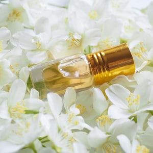 Indian Jasmine | Premium Perfume Oil | Attar Oil | Alcohol-Free | Vegan & Cruelty-Free | Islamic Sunnah Ittar / Attar