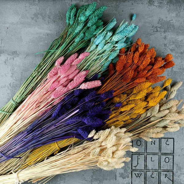 Wholesale Dried Flowers Etsy