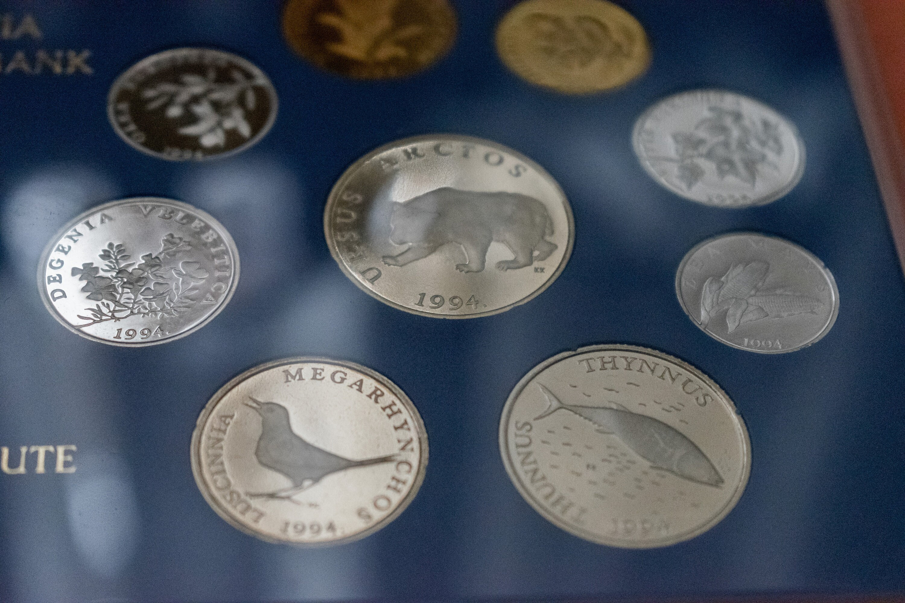 Official Croatian Numismatic sets of Kuna and Lipa coins in circulation, Issue 1994 | Croatia Numismatic set | Croatian Kuna | Croatia Coins
