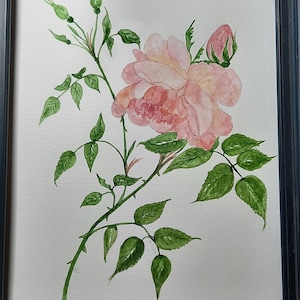 Watercolor painting &quot;Roses&quot;