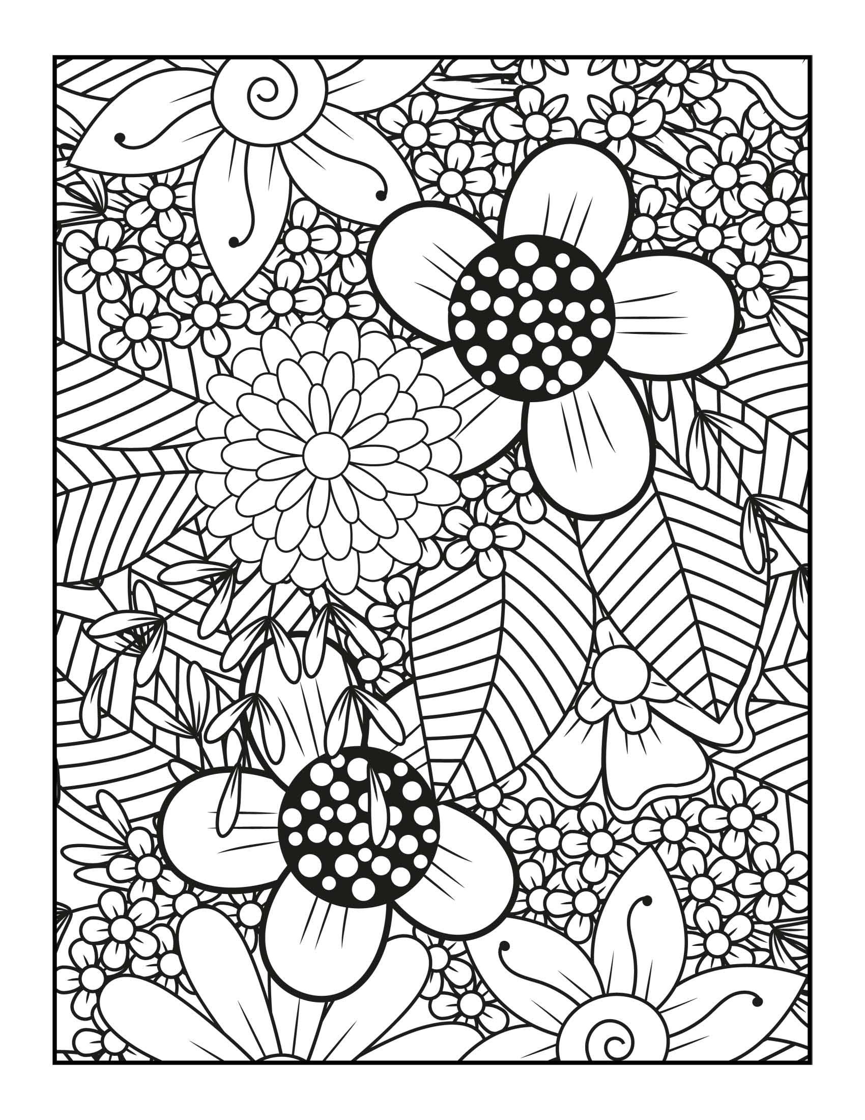  Adult Coloring Books for Women –101 Amazing World