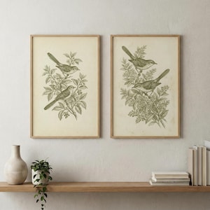 May include: Two framed prints showcasing detailed illustrations of birds perched on leafy branches. The artwork is in green tones on a cream background, with wooden frames. The prints are displayed on a wooden shelf.