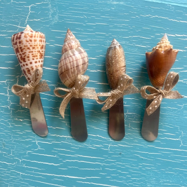 Shell Spreader. Handmade one-of-a-kind Marco Island seashell spreader. Cheese spreader.