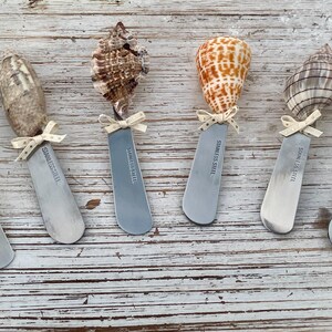 May include: Six stainless steel spreaders topped with various seashells and tied with small dotted bows. The blades are engraved with "STAINLESS STEEL". The shells are in shades of white, brown, and orange.