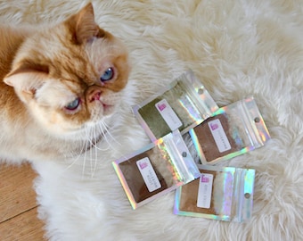 May include: Four small, clear, resealable bags filled with different spices. The bags have labels with the names of the spices: "Catnip", "Yule Spice", "Ginger Root", and "Chili Fruit". A light orange and white cat is looking at the bags.
