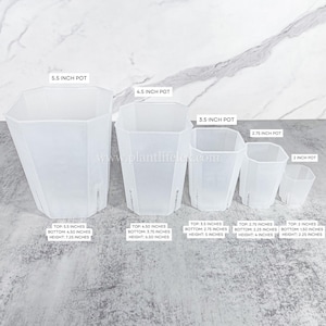 May include: Five white plastic plant pots of different sizes. The pots are octagonal in shape and have drainage holes. The pots are labeled with their size in inches: 5.5, 4.5, 3.5, 2.75, and 2. The text "www.plantlifelex.com" is printed on the table surface. Each pot has measurements listed for the top, bottom, and height in inches.