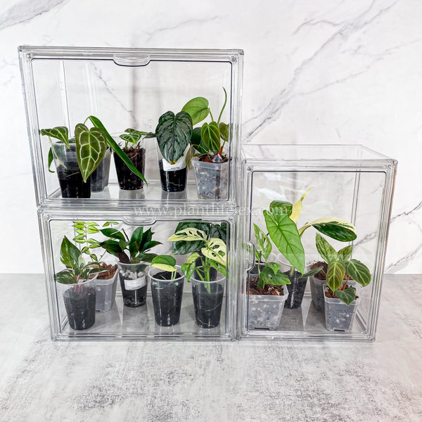 Acrylic Houseplant Display Case| Stackable Acrylic Humidity Propagation Box,Terrarium for Houseplants - PlantLifeLex