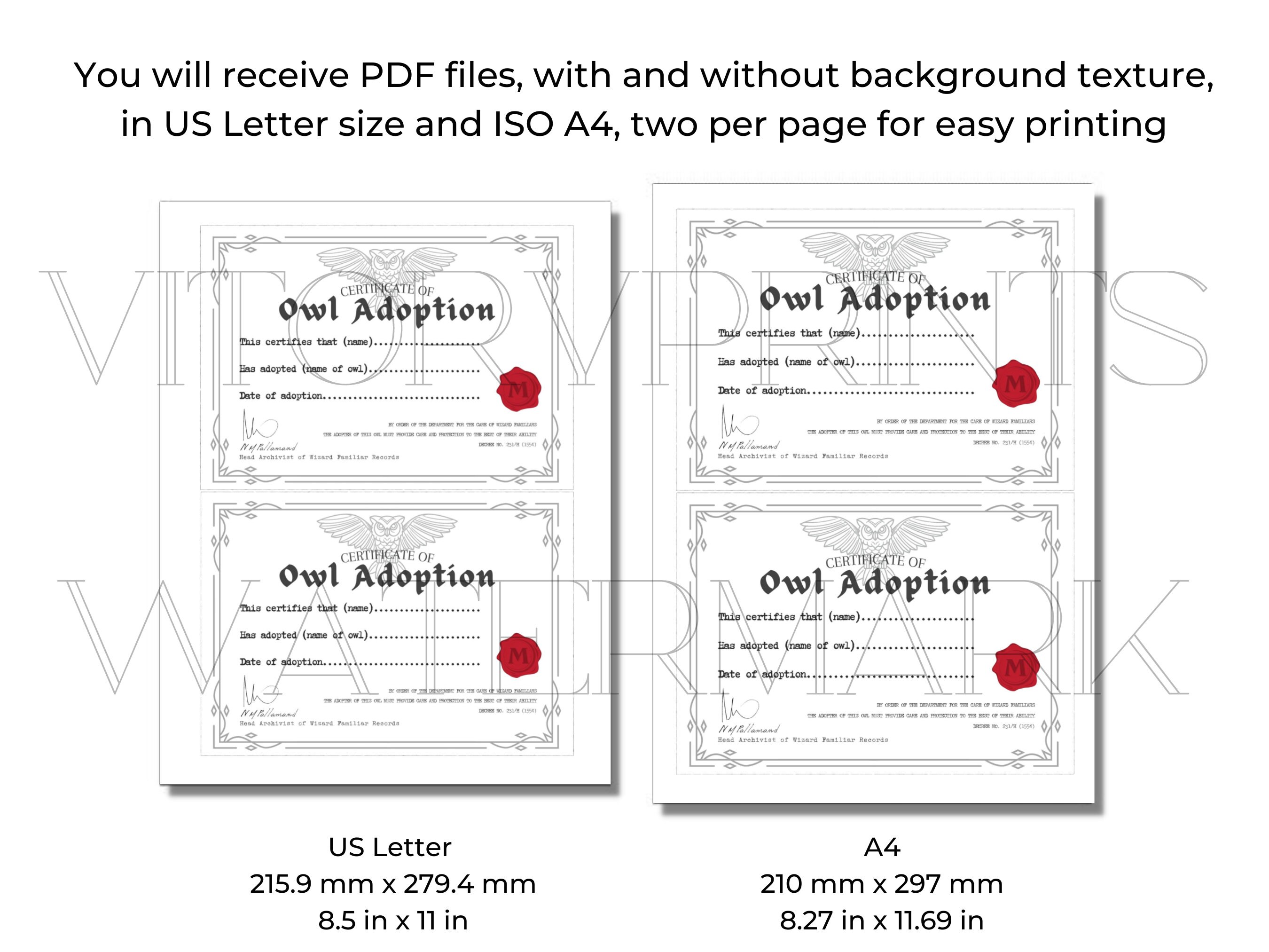 Owl Adoption Certificate Printable Digital Download - Etsy